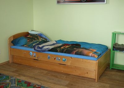 IHS 600, vlastní motiv, alu rám 11