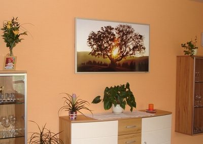IHS 900, motiv Redwell, alu rám 7