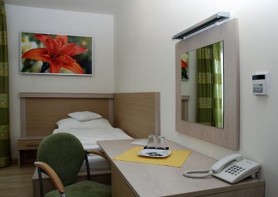 IHS 900, vlastní motiv, alu rám_1