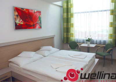 infrapanely_wellina_Reference_ankora_hotel_3