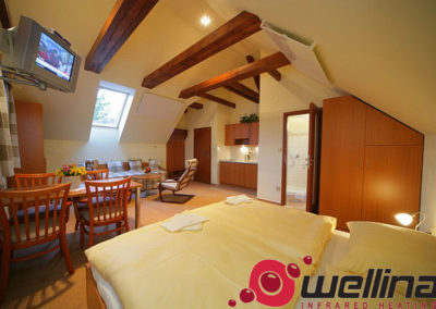 infrapanely_wellina_reference_apartmany_stary_mlyn_1