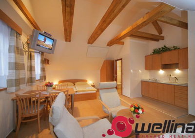 infrapanely_wellina_reference_apartmany_stary_mlyn_3
