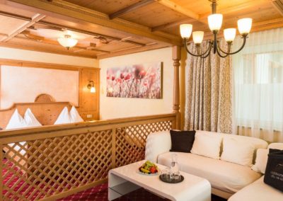 infrapanely_wellina_reference_hotel_rakousko_infratopeni_3
